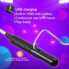 LED Fiber Optic Whip