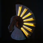 LED Luminous Fan
